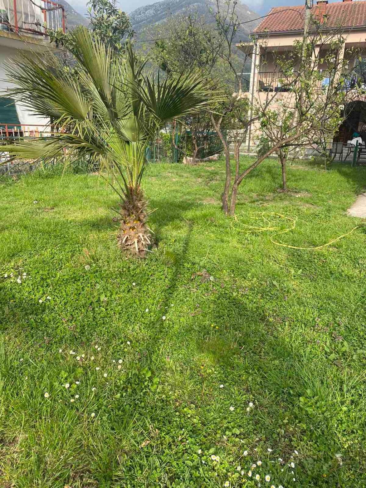 Zelenika Villa